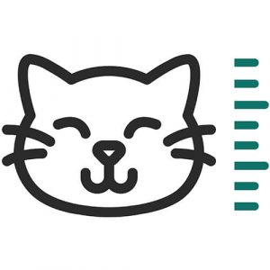 Icon Mèo Chỉ Số - Chiều Cao