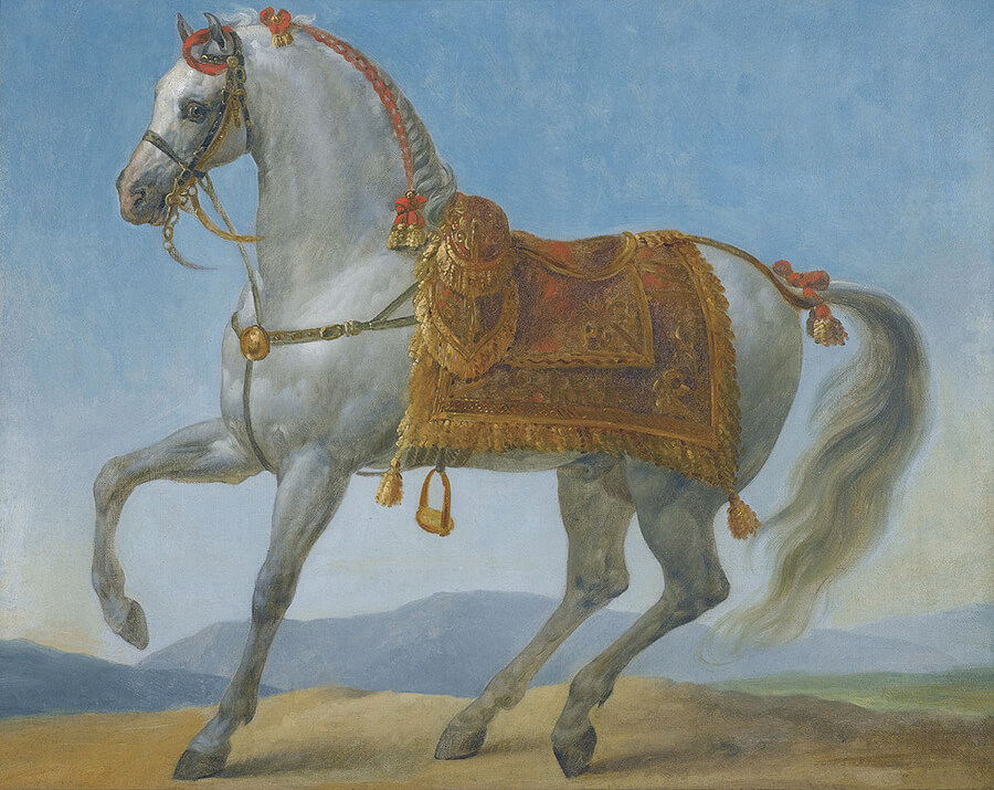 Marengo - Ngựa Ả Rập Napoleon Bonaparte từng cưỡi