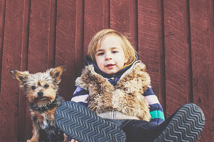 Trẻ em và chó sục Yorkshire Terrier