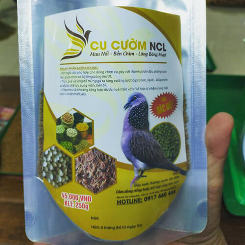 Hướng dẫn kỹ thuật nuôi chim cu gáy khỏe mạnh, dạy chim gù chào hay - Chăm  vật nuôi | Suckhoecuocsong.com.vn