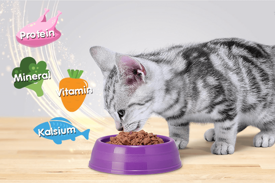 Tại sao nên sử dụng thức ăn hạt cho mèo