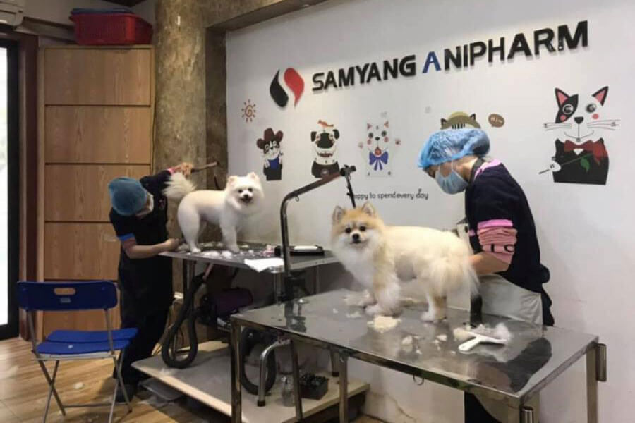 Bệnh-Viện-Samyang-Animal-Clinic
